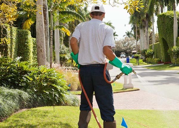 About Ardmore PA Pest Control Pros
